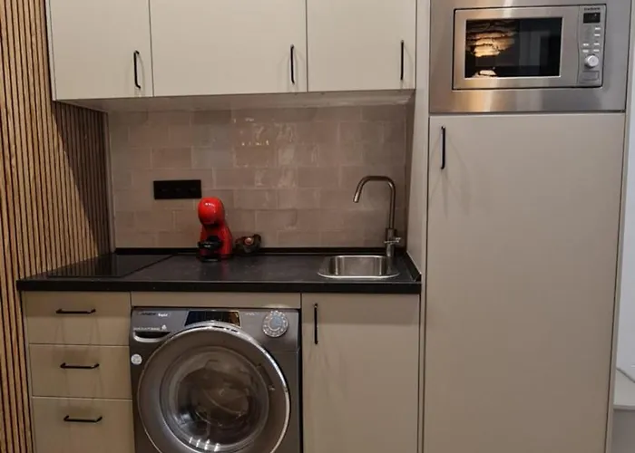 Apartamento Luis De Velázquez *